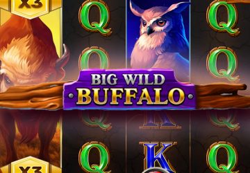 Игровой автомат Big Wild Buffalo в ОГ казино